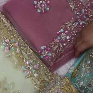 Designer Party Wear Organza saree with shiny handwork